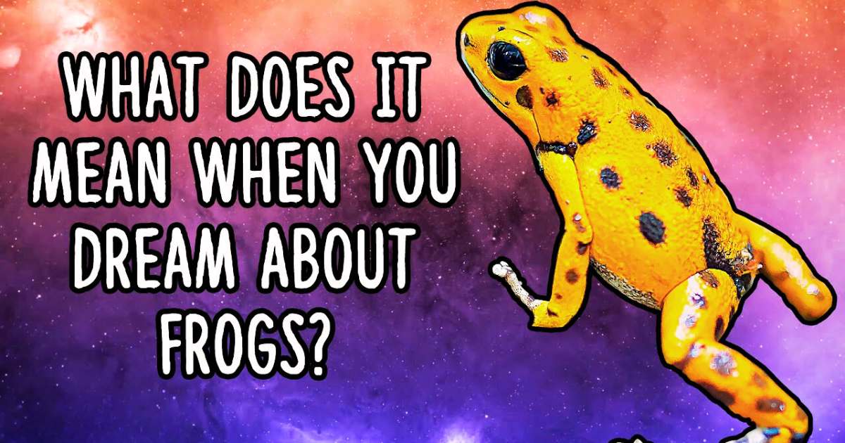 What Does It Mean When You Dream of a Frog